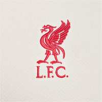 Nike camiseta de fútbol oficiales LIVERPOOL 25 M NK DF STRK SS TOP K SE 05