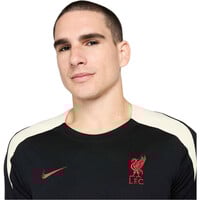 Nike camiseta de fútbol oficiales LIVERPOOL 25 M NK DF STRK SS TOP K SE vista detalle