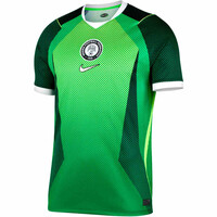 Nike camiseta de fútbol oficiales NIGERIA 26 M NK DF JSY SS STAD HM 05