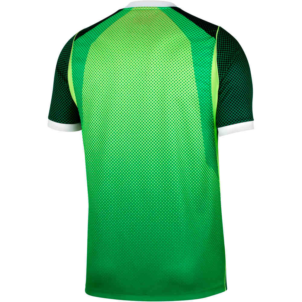 Nike camiseta de fútbol oficiales NIGERIA 26 M NK DF JSY SS STAD HM 06