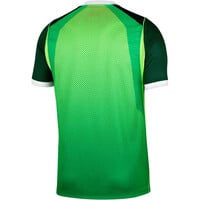 Nike camiseta de fútbol oficiales NIGERIA 26 M NK DF JSY SS STAD HM 06