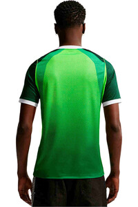 Nike camiseta de fútbol oficiales NIGERIA 26 M NK DF JSY SS STAD HM vista trasera