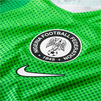 Nike camiseta de fútbol oficiales NIGERIA 26 M NK DFADV JSY SS MATCH HM vista detalle