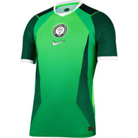 Nike camiseta de fútbol oficiales NIGERIA 26 M NK DFADV JSY SS MATCH HM vista frontal