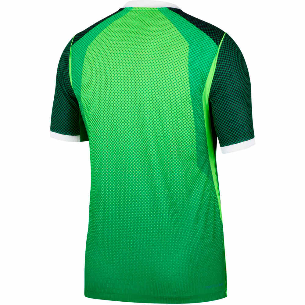 Nike camiseta de fútbol oficiales NIGERIA 26 M NK DFADV JSY SS MATCH HM vista trasera