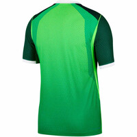 Nike camiseta de fútbol oficiales NIGERIA 26 M NK DFADV JSY SS MATCH HM vista trasera