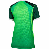 Nike camiseta de fútbol oficiales NIGERIA 26 W NK DF JSY SS STAD HM 06