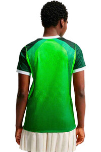 Nike camiseta de fútbol oficiales NIGERIA 26 W NK DF JSY SS STAD HM vista trasera