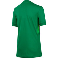 Nike camiseta de fútbol oficiales niño INGLATERRA 25 Y NK DF STAD JSY SS GK 03