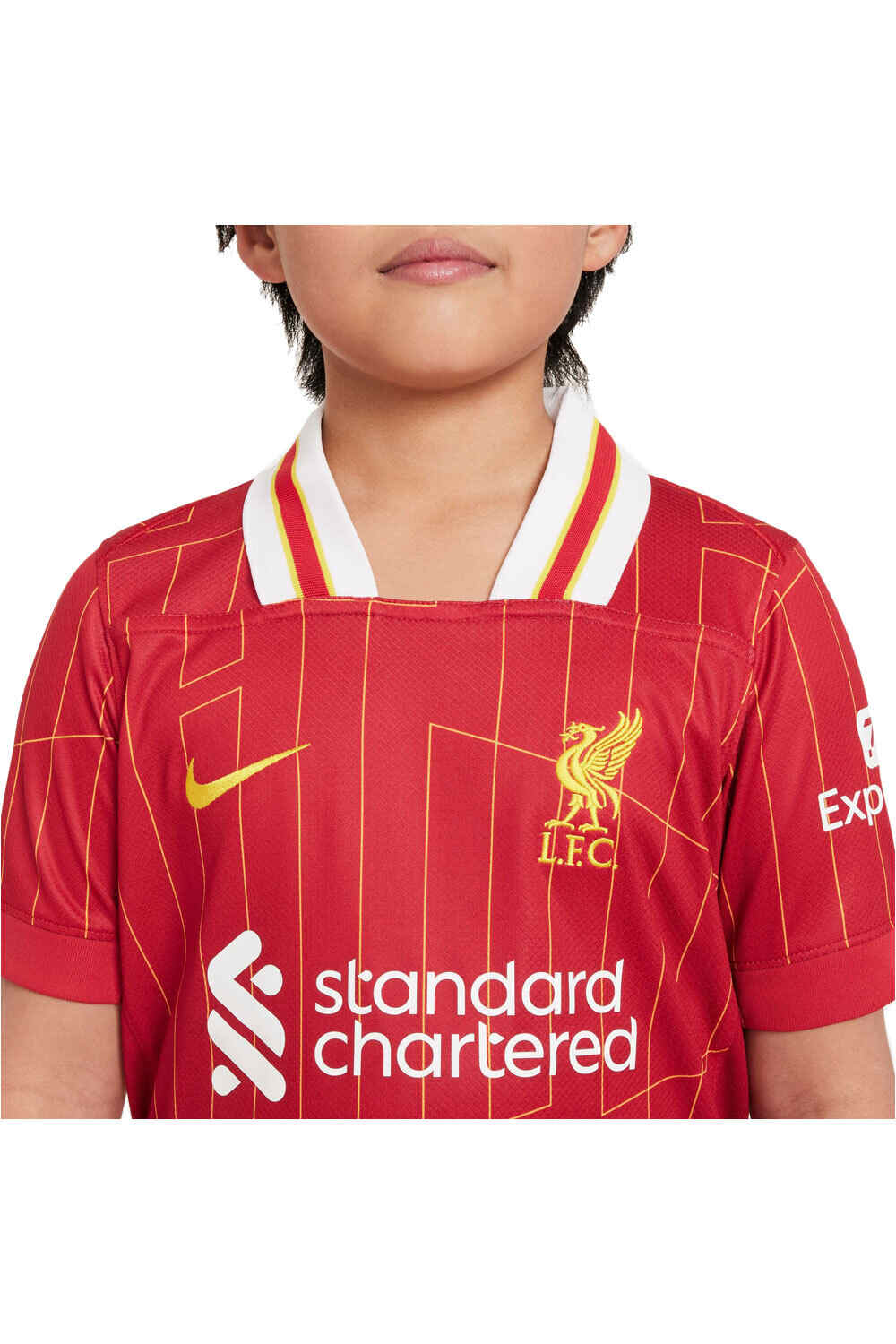 Nike camiseta de fútbol oficiales niño LIVERPOOL 25 Y NK DF JSY SS STAD HM vista detalle