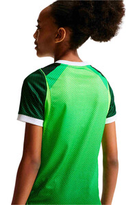 Nike camiseta de fútbol oficiales niño NIGERIA 26 Y NK DF JSY SS STAD HM 03