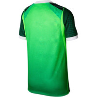 Nike camiseta de fútbol oficiales niño NIGERIA 26 Y NK DF JSY SS STAD HM 06