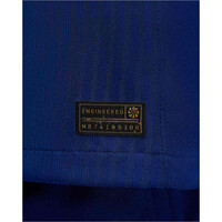 Nike camiseta de fútbol oficiales PSG 25 MNK DFADV JSY LS MATCH 4TH 05