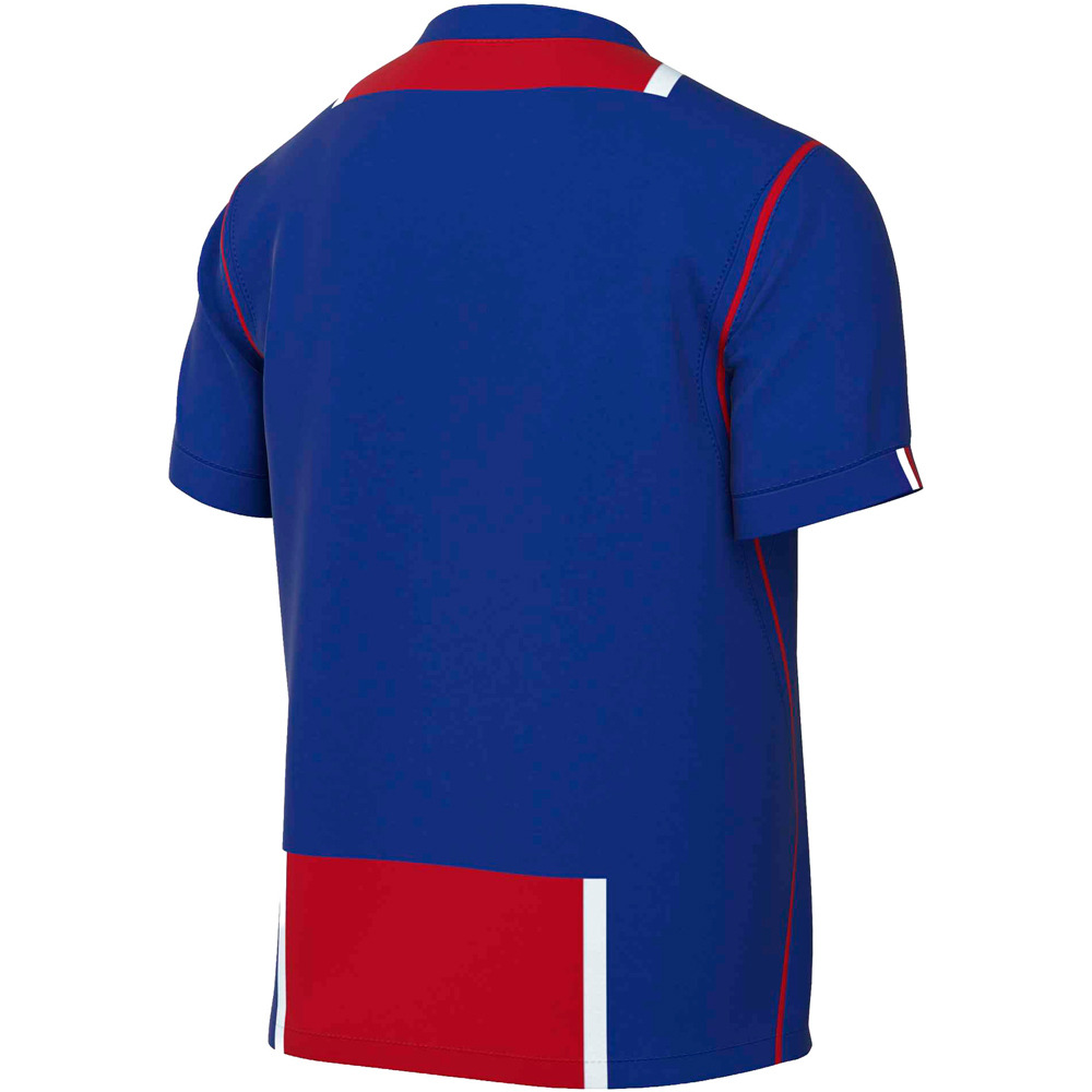 Nike camiseta de fútbol oficiales PSG 27 M NK DF JSY SS STAD HM vista trasera