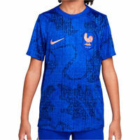 Nike camiseta entrenamiento niño FRANCIA 25 Y NK DF ACDPR SS TOP PM vista frontal