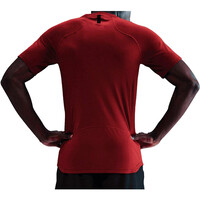Nike camiseta fitness hombre M NP DF NPT SS TOP vista trasera