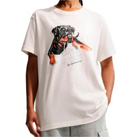 SPORTSWEAR CLASSIC