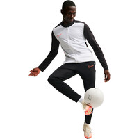 Nike chándal hombre M NK DF ACD25 TRK SUIT BR 06