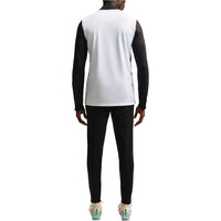 Nike chándal hombre M NK DF ACD25 TRK SUIT BR vista trasera