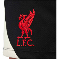 Nike pantalón futbol niño LIVERPOOL 25 Y NK DF STRK SHORT KZ SE 05