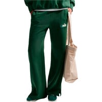 W NSW PHNX FLC HR LOGO WL PNT