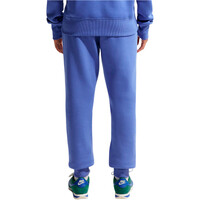 Nike sudadera mujer W NSW PHNX FLC STD PO HOODIE vista trasera