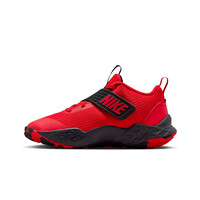 Nike zapatilla baloncesto niños TEAM HUSTLE D RONE puntera