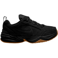 AIR MONARCH IV SE