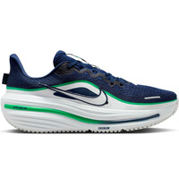 NIKE AIR WINFLO 12