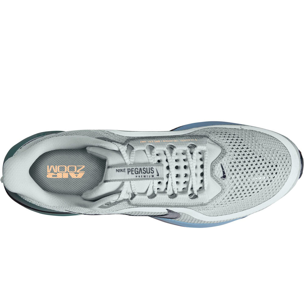 Nike zapatilla running hombre NIKE PEGASUS PREMIUM 05