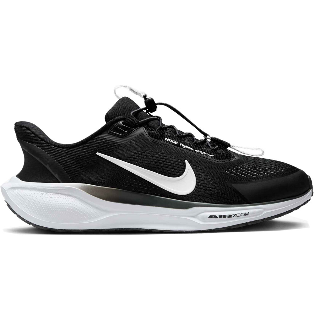 Nike zapatilla running hombre PEGASUS EASYON lateral exterior