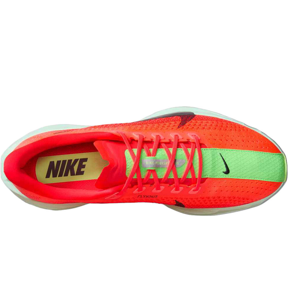 Nike zapatilla running hombre PEGASUS PLUS 05
