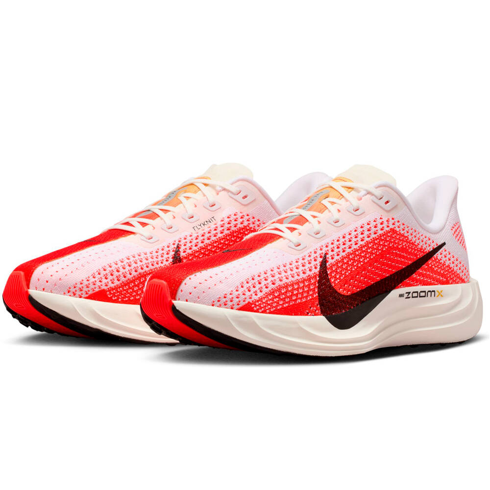 Nike zapatilla running hombre PEGASUS PLUS lateral interior