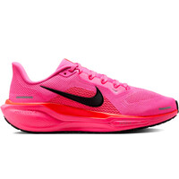 PEGASUS 41