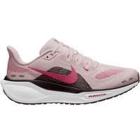 PEGASUS 41
