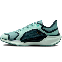 Nike zapatilla running mujer W AIR ZM PEGASUS 41 GTX puntera