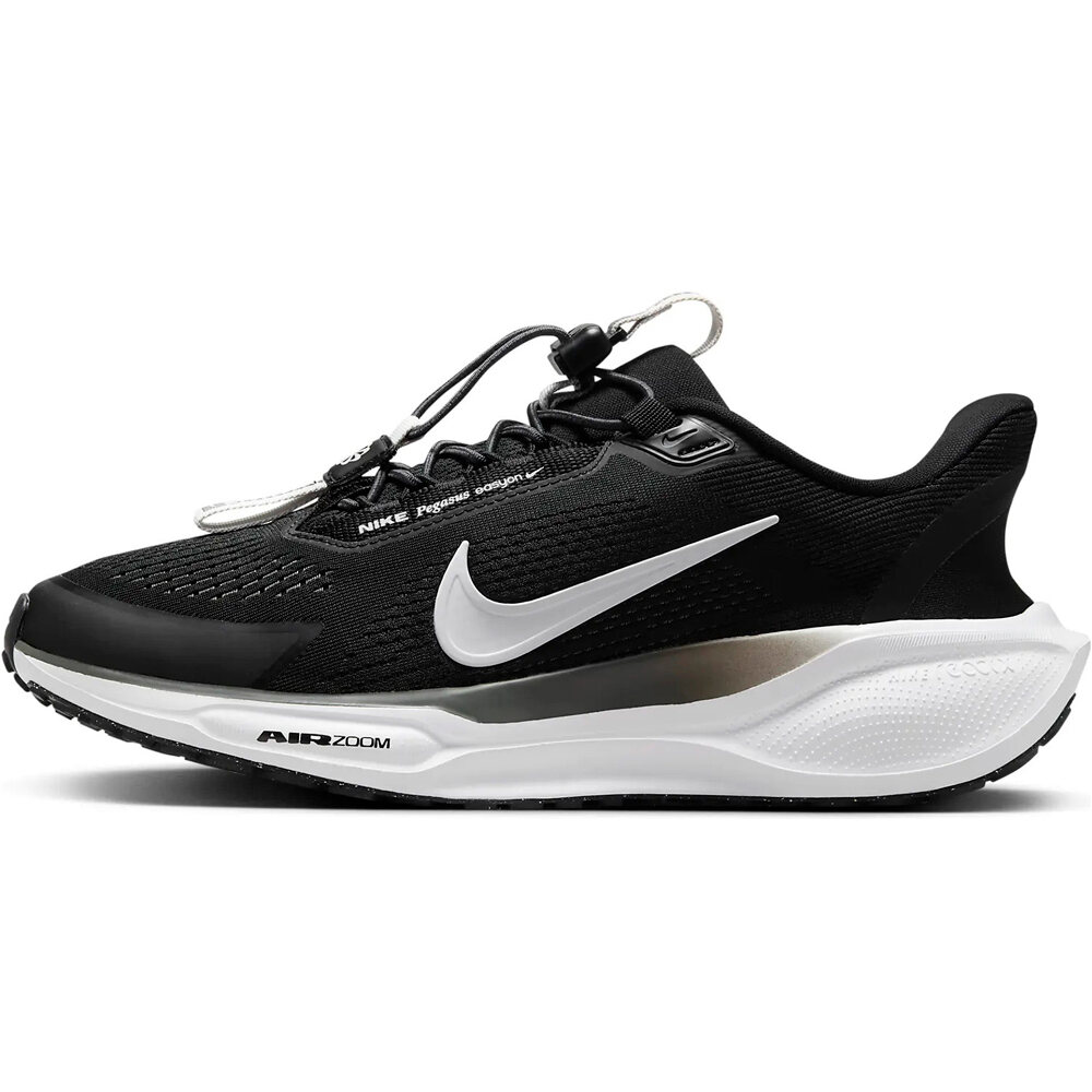 Nike zapatilla running mujer W PEGASUS EASYON lateral exterior