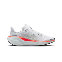 PEGASUS 41