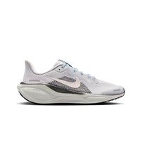 PEGASUS 41