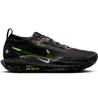 NIKE PEGASUS TRAIL 5 GTX