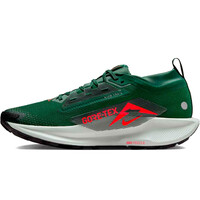 Nike zapatillas trail hombre NIKE PEGASUS TRAIL 5 GTX puntera