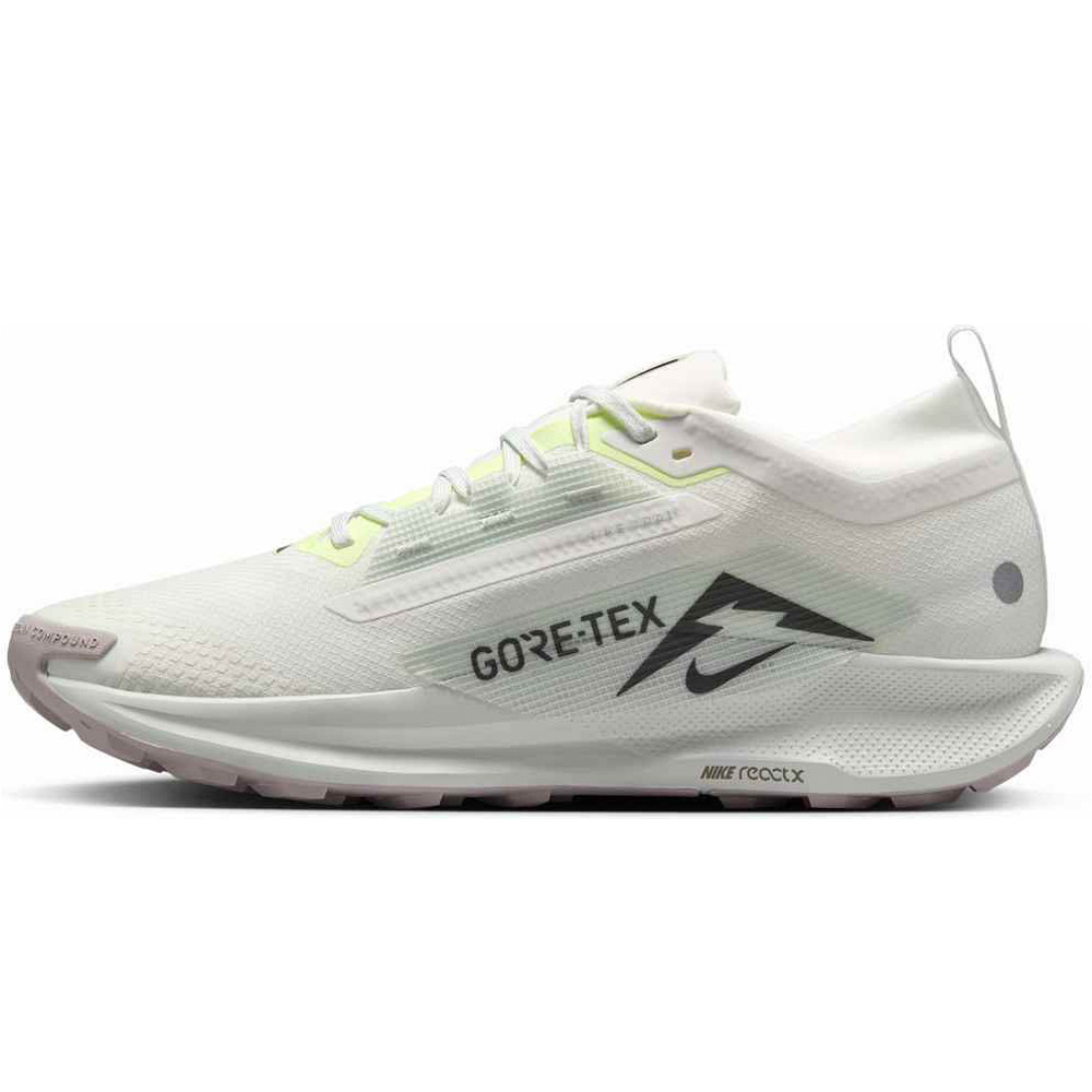 Nike zapatillas trail hombre NIKE PEGASUS TRAIL 5 GTX puntera