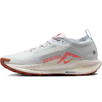 Nike zapatillas trail hombre NIKE PEGASUS TRAIL 5 GTX puntera