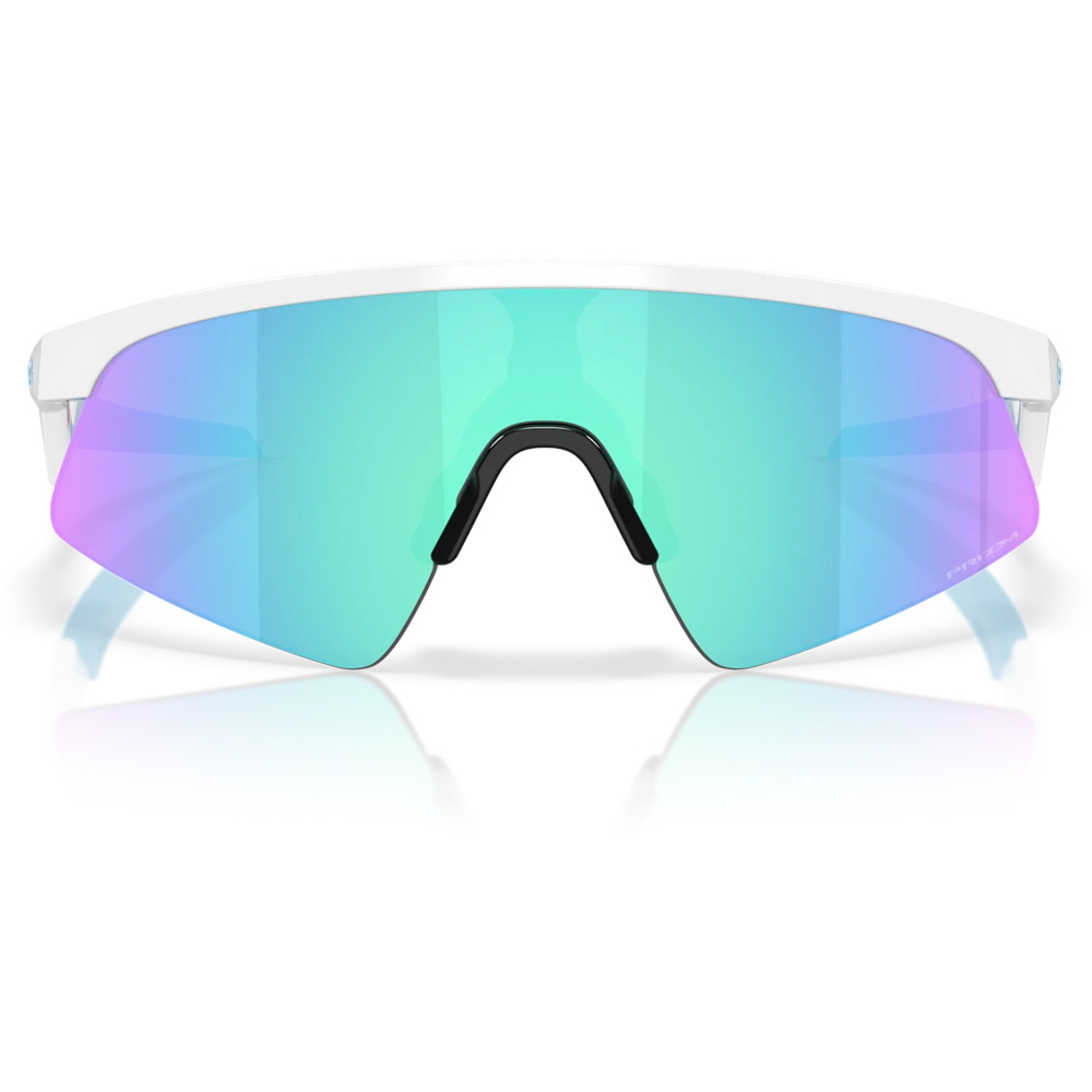 Oakley gafas ciclismo RESISTOR SWEEP 04