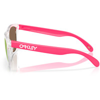 Oakley gafas deportivas FROGSKINS 03