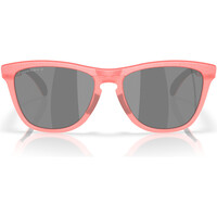 Oakley gafas deportivas FROGSKINS RANGE 01