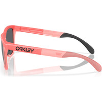 Oakley gafas deportivas FROGSKINS RANGE 03