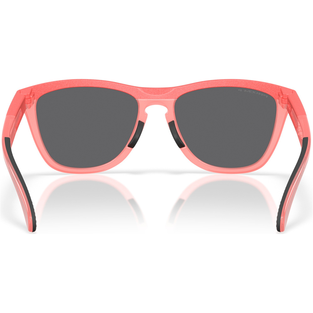 Oakley gafas deportivas FROGSKINS RANGE 04