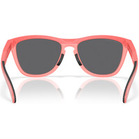 Oakley gafas deportivas FROGSKINS RANGE 04