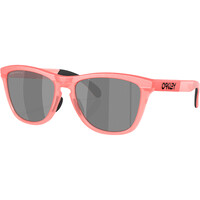 Oakley gafas deportivas FROGSKINS RANGE vista frontal